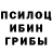 Галлюциногенные грибы Psilocybine cubensis Martina Che