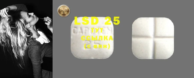стафф Баксан
