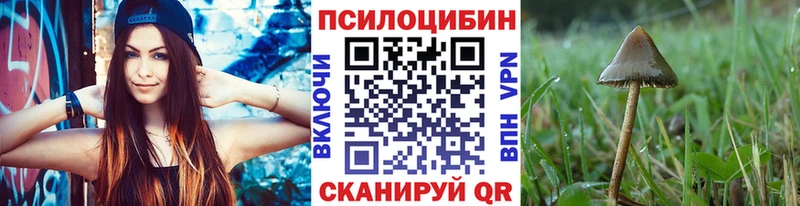 купить наркоту  Белёв  OMG зеркало  Галлюциногенные грибы MAGIC MUSHROOMS 